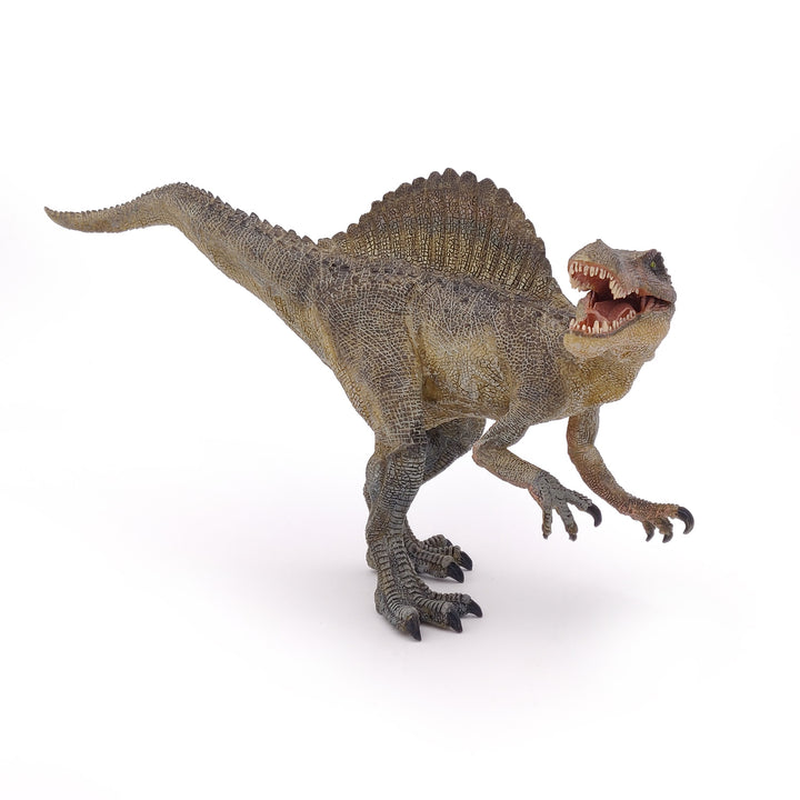 Dinosaurier:  Spinosaurus  ca. 31x17cm (55011)