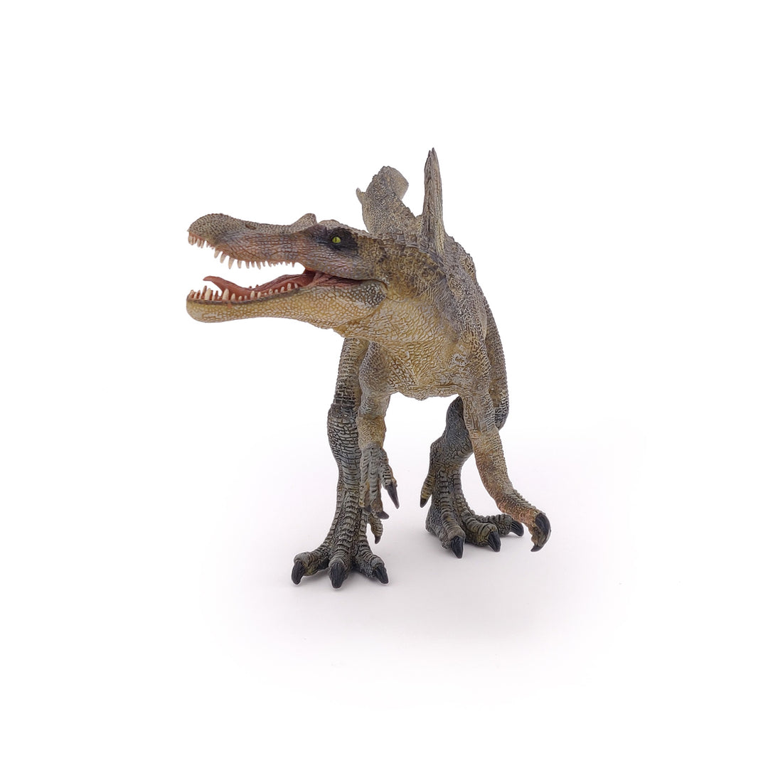 Dinosaurier:  Spinosaurus  ca. 31x17cm (55011)