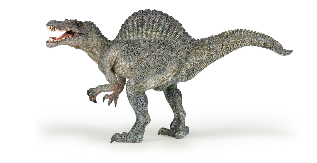 Dinosaurier:  Spinosaurus  ca. 31x17cm (55011)
