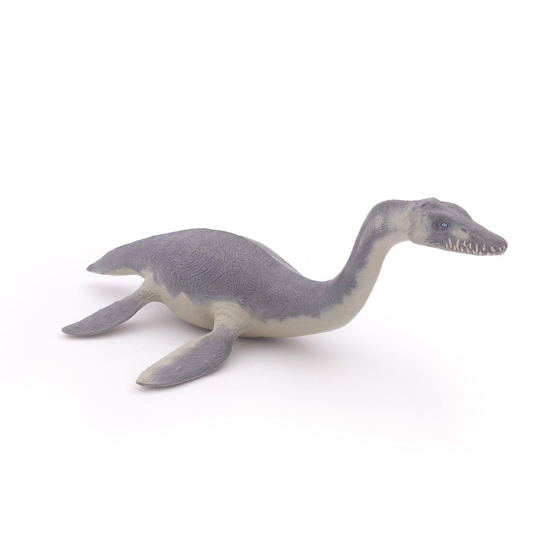 Dinosaurier: Plesiosaurier  ca.  22x13.5x8 cm (55021)