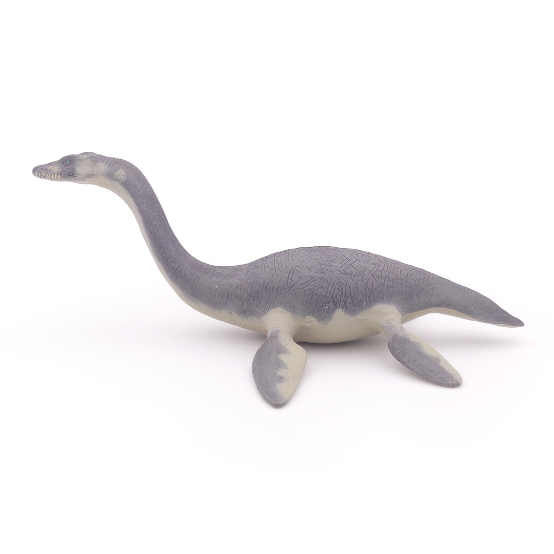 Dinosaurier: Plesiosaurier  ca.  22x13.5x8 cm (55021)