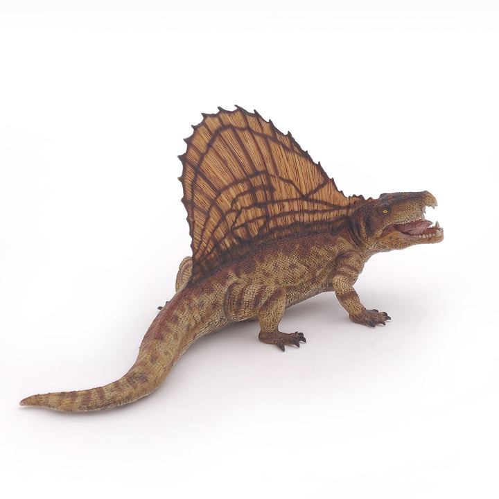 Dinosaurier: Dimetrodon ca.  16.5x7x7.8 cm (55033)