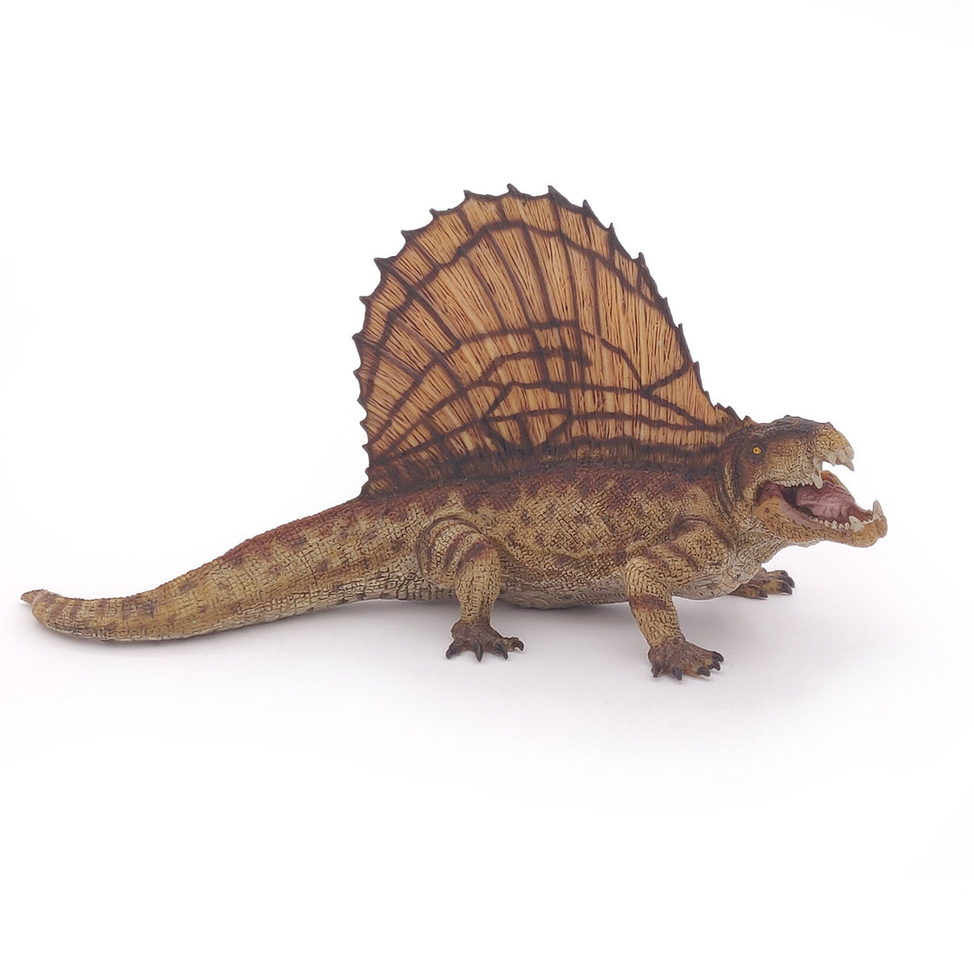 Dinosaurier: Dimetrodon ca.  16.5x7x7.8 cm (55033)