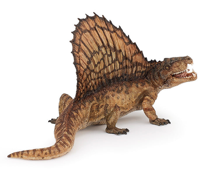 Dinosaurier: Dimetrodon ca.  16.5x7x7.8 cm (55033)