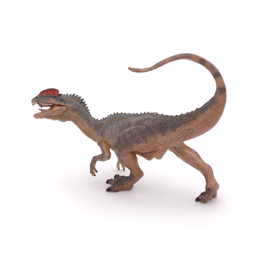 Dinosaurier:  Dilophosaurus 14 cm (55035)