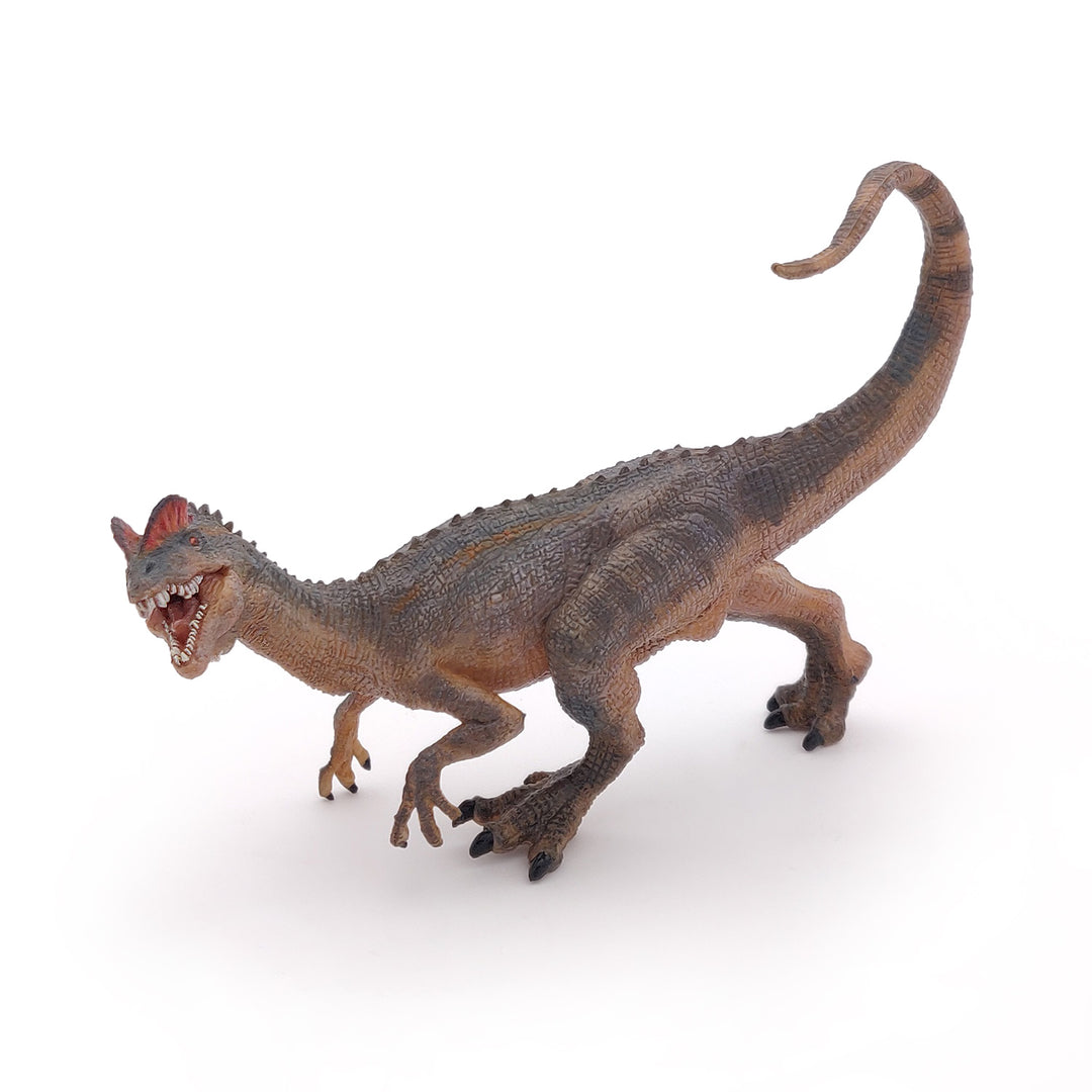 Dinosaurier:  Dilophosaurus 14 cm (55035)