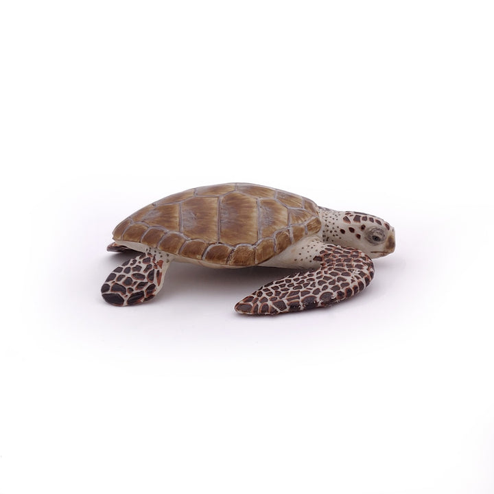 Meereswelt: Meeresschildkröte ca.7.7x2cm (56005)