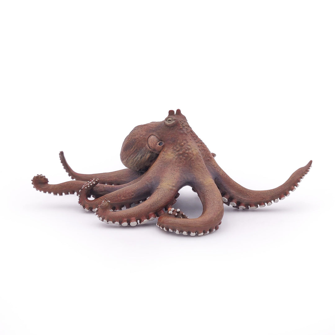 Meereswelt: Octopus 19x15x6.7 cm (56013)