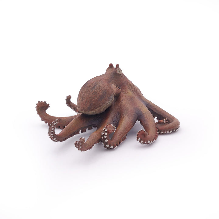 Meereswelt: Octopus 19x15x6.7 cm (56013)