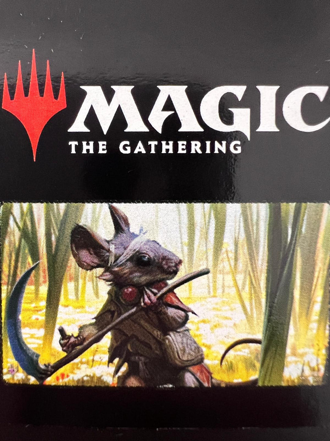 UP - Bloomburrow Stitched Edge Playmat Special Guest 1 for Magic: The Gathering