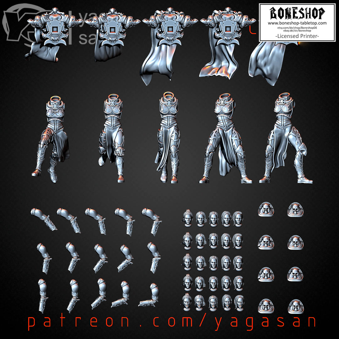 Bits „Demon Sisters KitBASH PACK Complete“ RPG | Tabletop | Boneshop