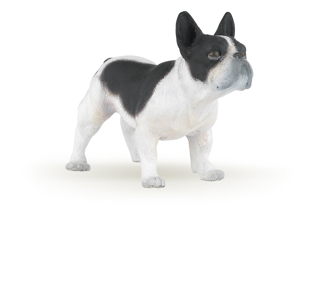 Haustiere : Französische Bulldogge, schwarzweiß  8 cm (54006)