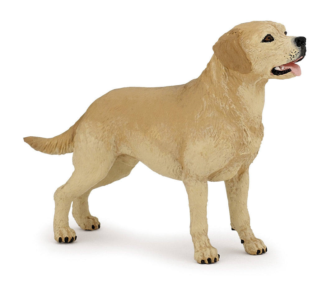 Haustiere : Labrador-Retriever 10 cm (54029)