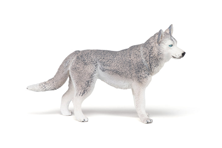 Haustiere : Siberian Husky 10 cm (54035)