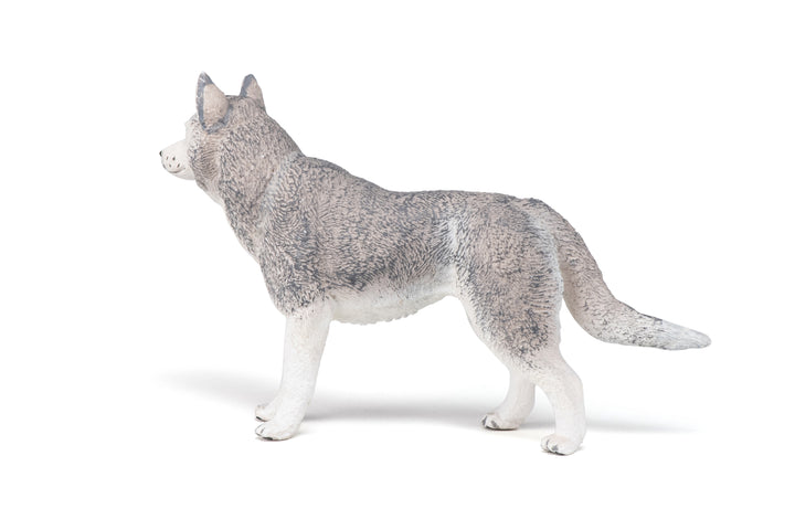 Haustiere : Siberian Husky 10 cm (54035)