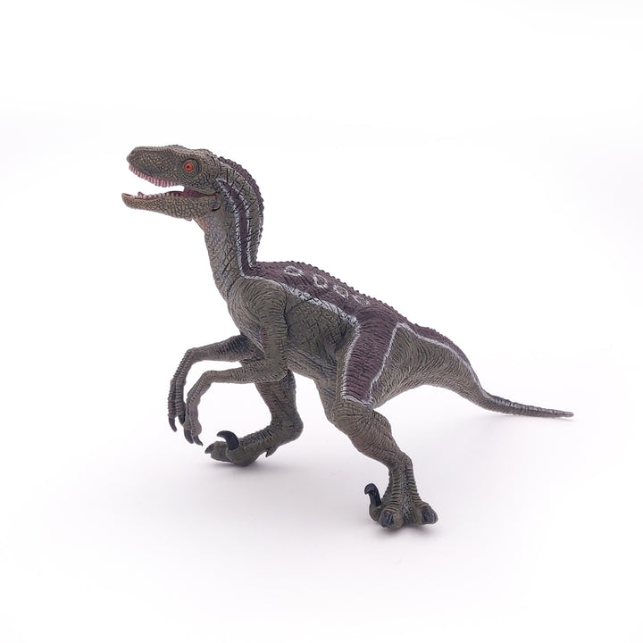 Dinosaurier: Velociraptor 17 cm (55023)