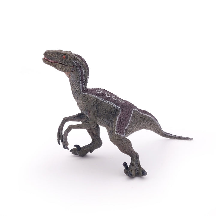 Dinosaurier: Velociraptor 17 cm (55023)