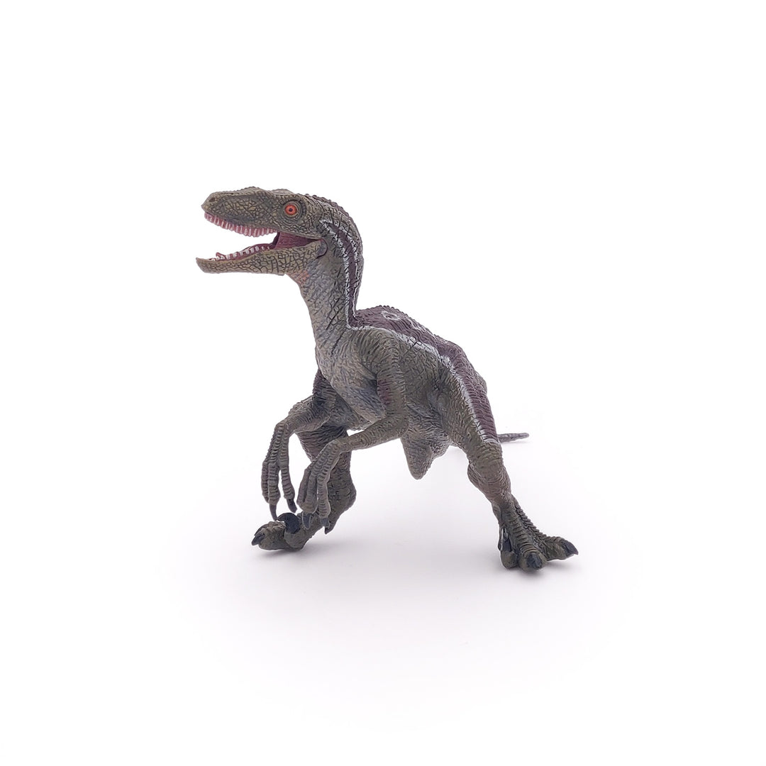 Dinosaurier: Velociraptor 17 cm (55023)