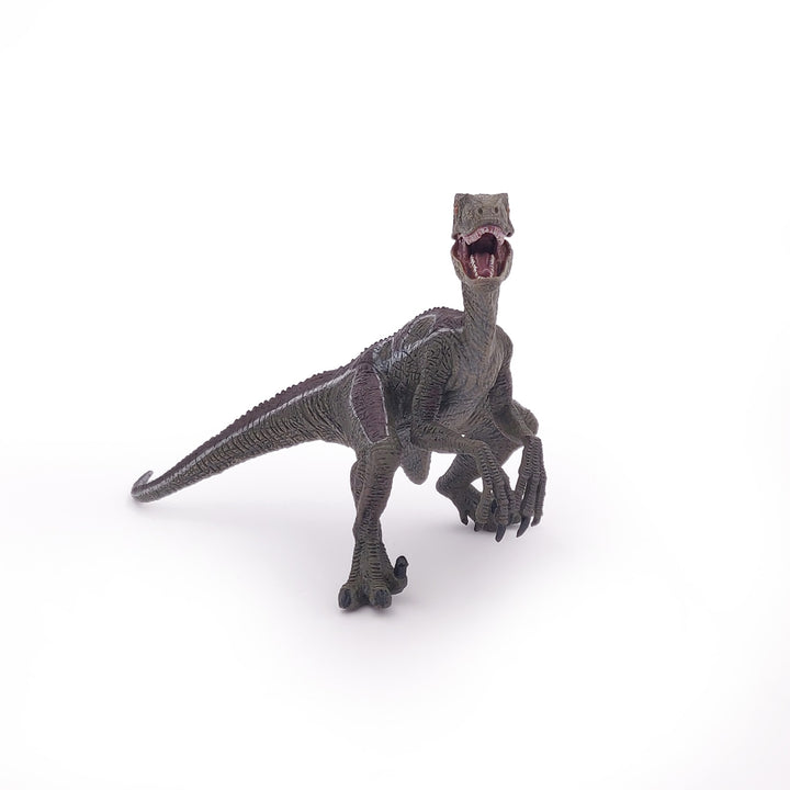 Dinosaurier: Velociraptor 17 cm (55023)