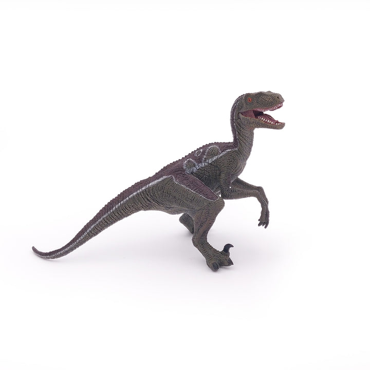 Dinosaurier: Velociraptor 17 cm (55023)