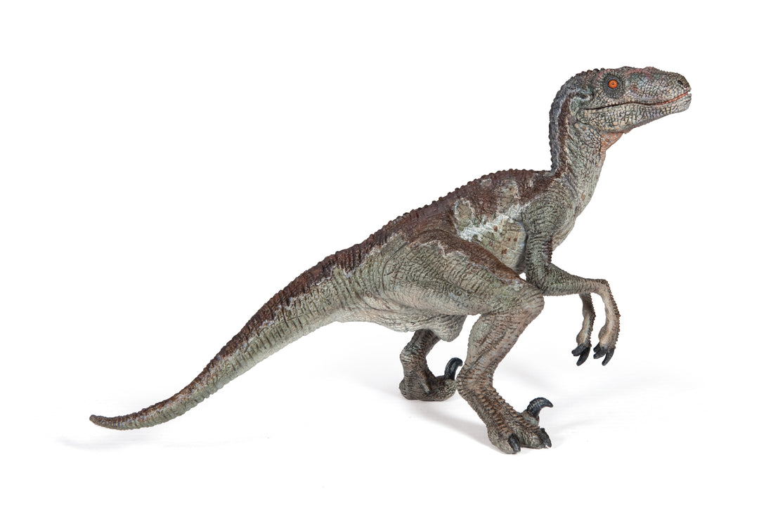 Dinosaurier: Velociraptor 17 cm (55023)