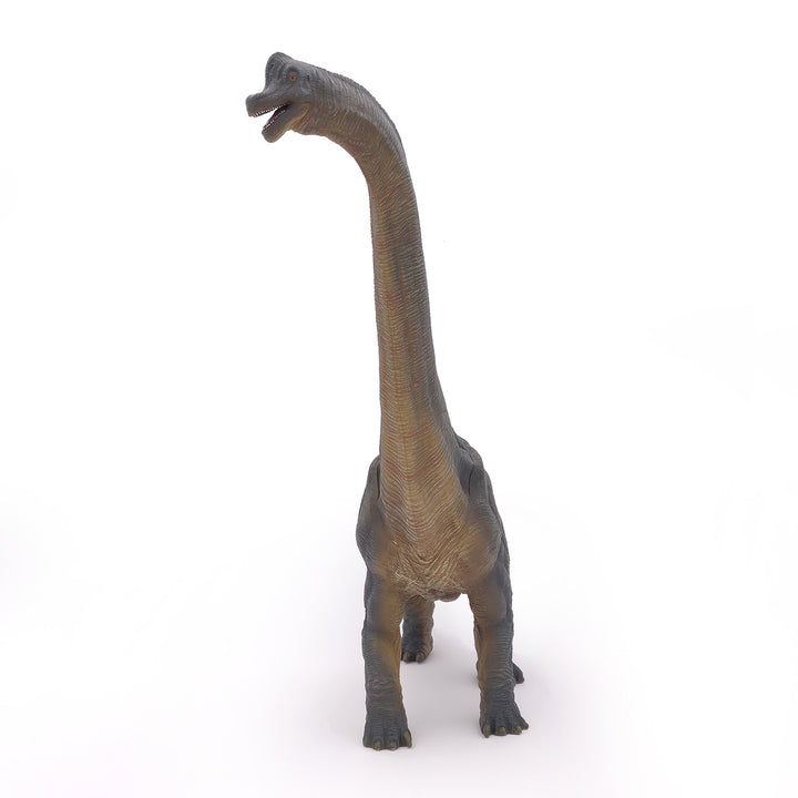 Dinosaurier: Brachiosaurus 36 cm (55030)