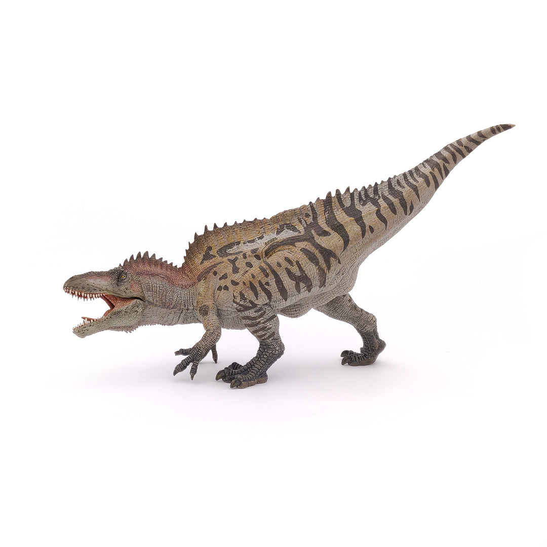 Dinosaurier: Acrocanthosaurus 28 cm (55062)