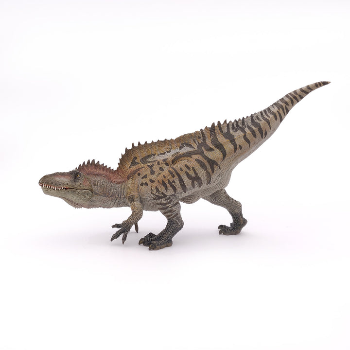 Dinosaurier: Acrocanthosaurus 28 cm (55062)