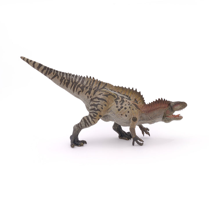 Dinosaurier: Acrocanthosaurus 28 cm (55062)