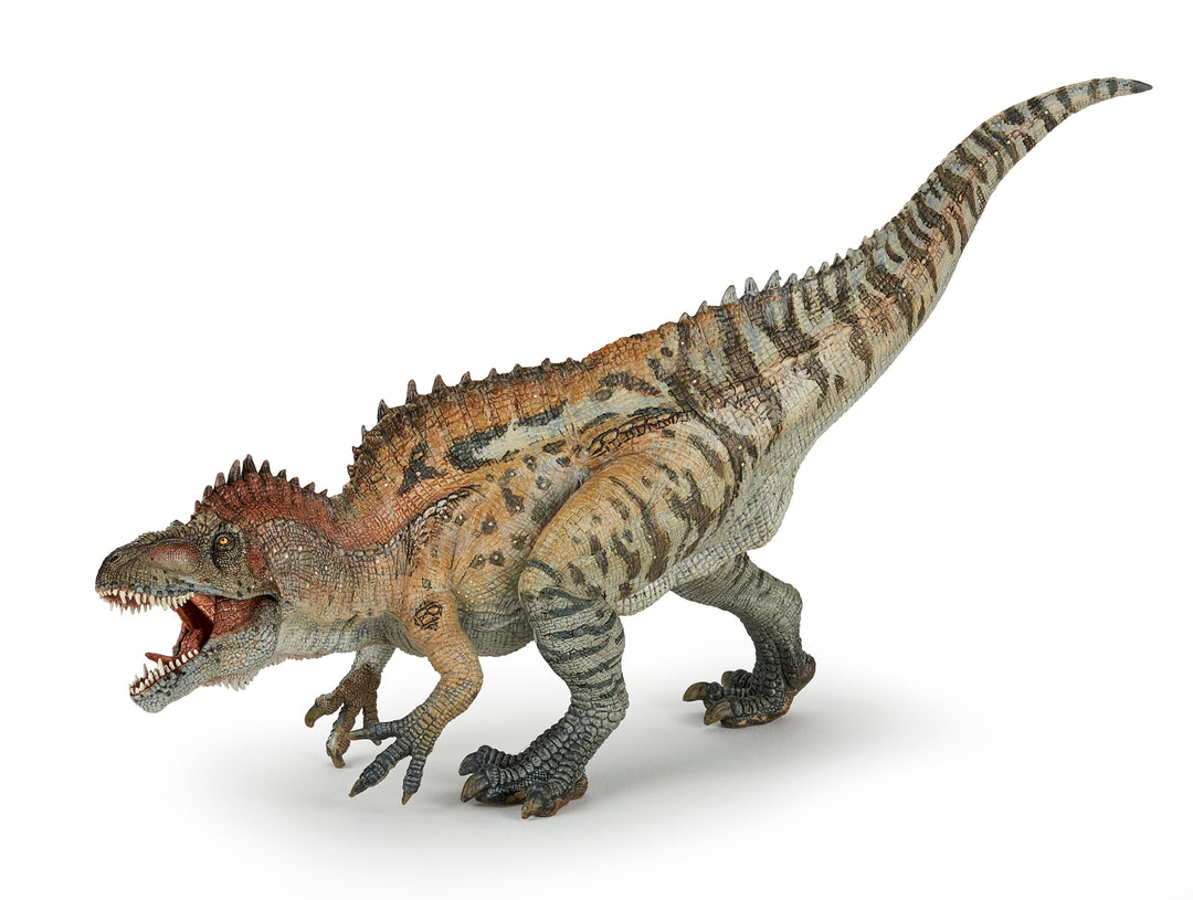 Dinosaurier: Acrocanthosaurus 28 cm (55062)