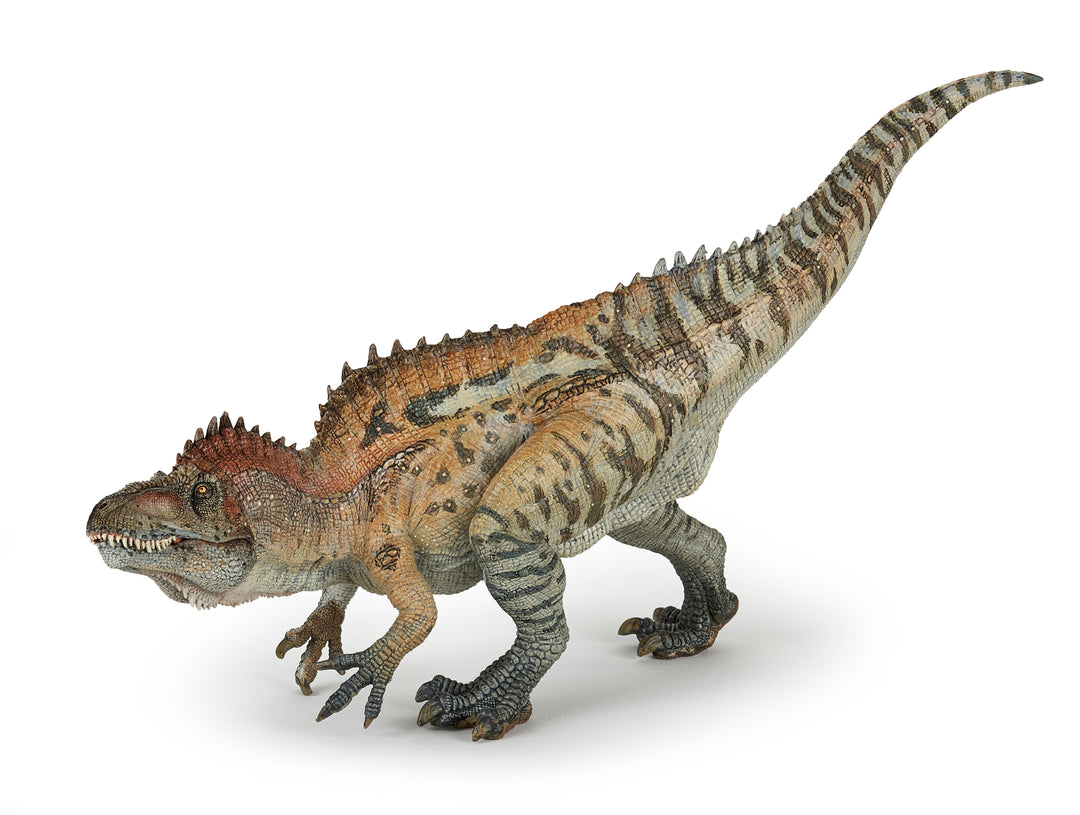 Dinosaurier: Acrocanthosaurus 28 cm (55062)