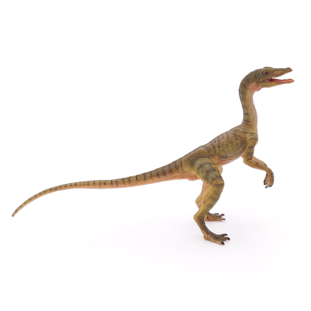 Dinosaurier:  Compsognathus 15 cm (55072)