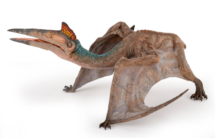 Dinosaurier:  Quetzalcoaltus 19 cm (55073)