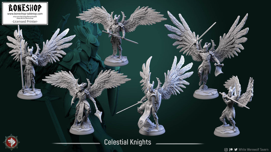 Heavenly Justice „Celestial Knight V4“ 28mm-35mm | RPG | DnD | Boneshop