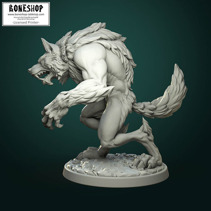 Werewolf Pack „Common Werewolf A“ White Werewolf Tavern | 28mm-35mm | Boneshop