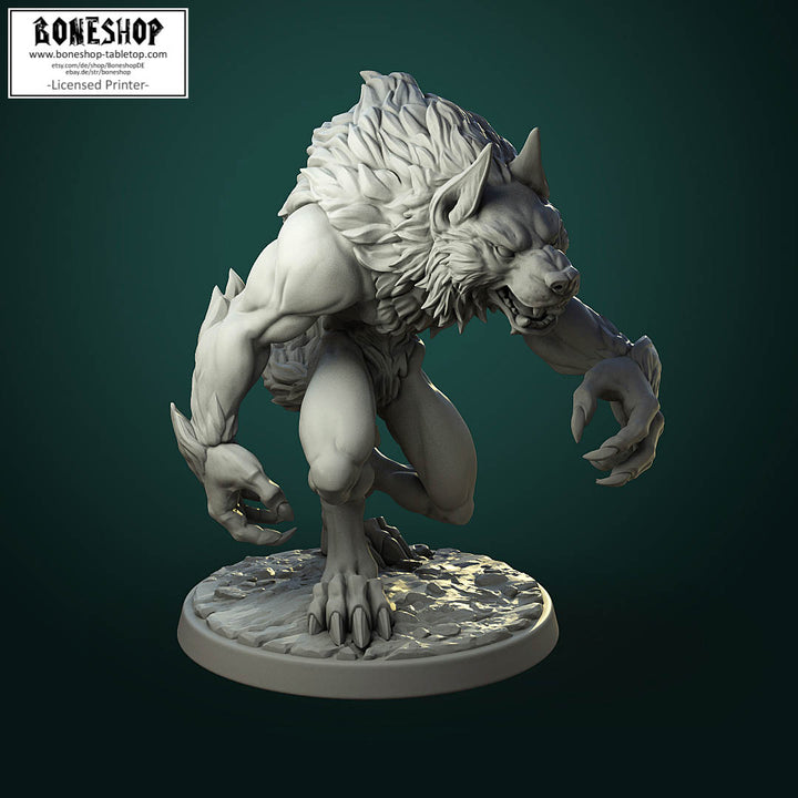 Werewolf Pack „Common Werewolf A“ White Werewolf Tavern | 28mm-35mm | Boneshop