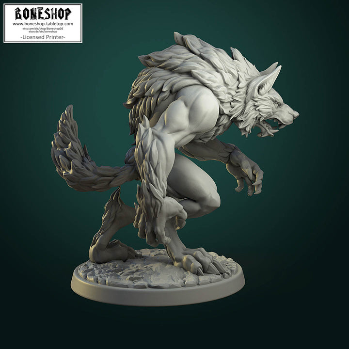 Werewolf Pack „Common Werewolf A“ White Werewolf Tavern | 28mm-35mm | Boneshop