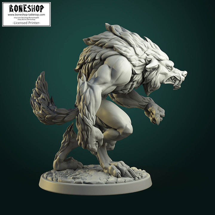 Werewolf Pack „Common Werewolf B“ White Werewolf Tavern | 28mm-35mm | Boneshop