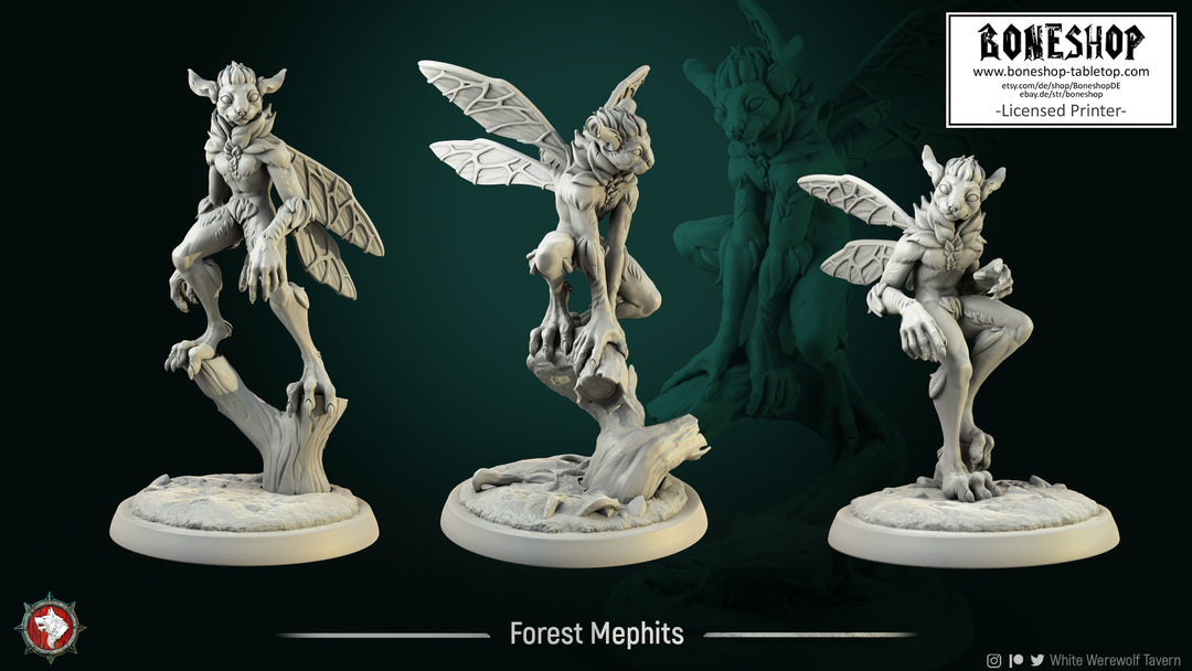 Magic Forest „Mephits Bundle“ White Werewolf Tavern | 28mm-35mm | Boneshop