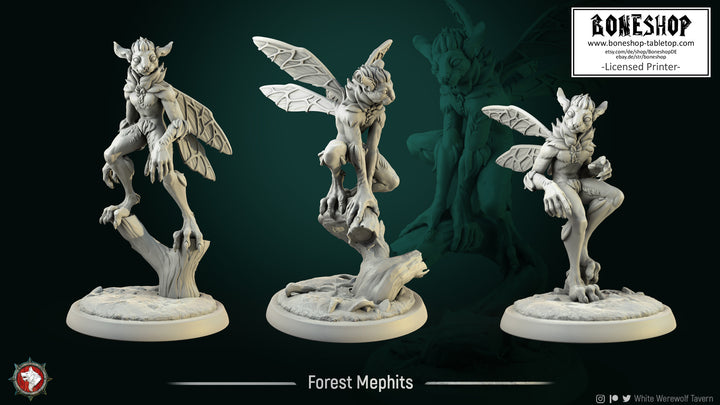 Magic Forest „Mephits Bundle“ White Werewolf Tavern | 28mm-35mm | Boneshop