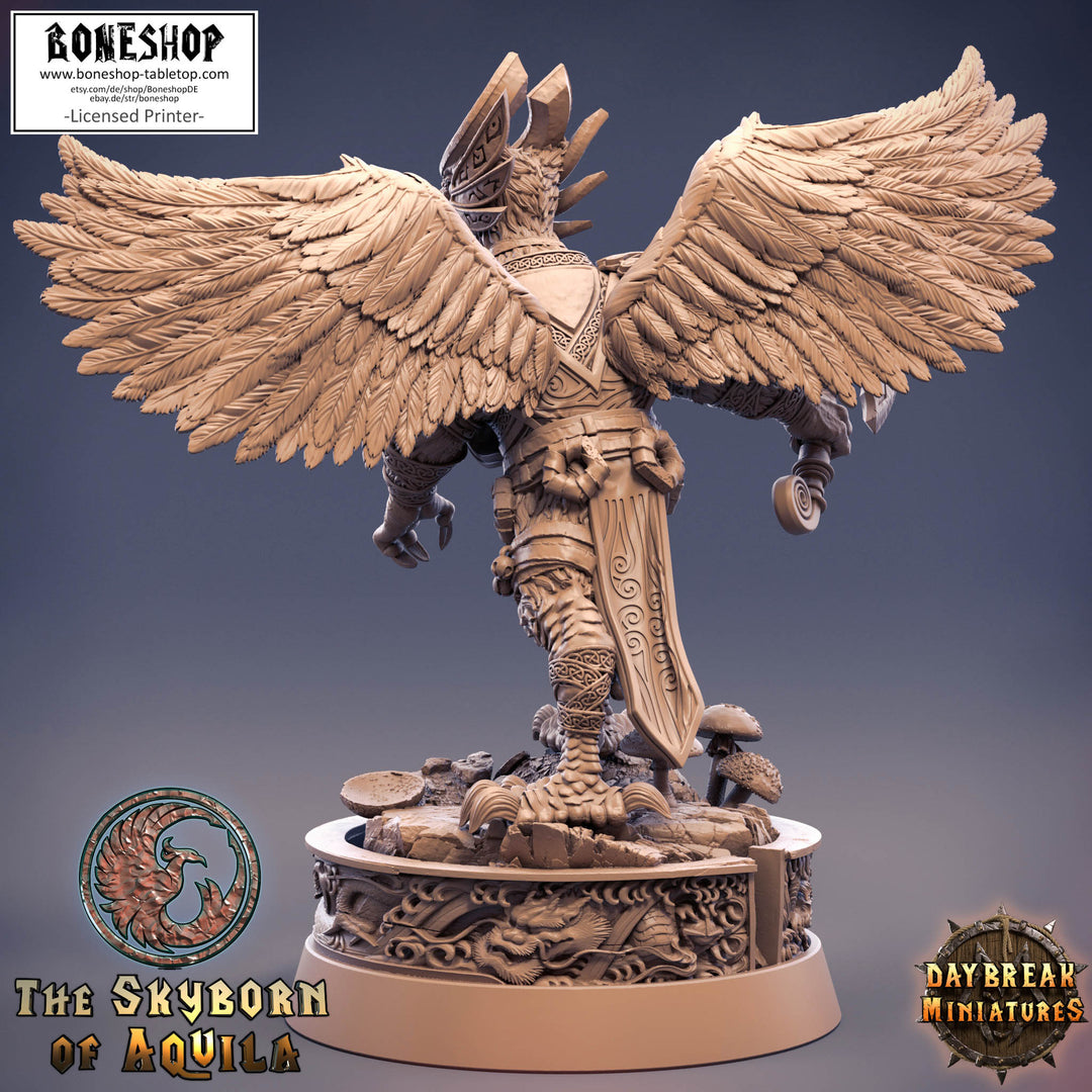 Skyborn of Aquila „Haim Fireflight" 28mm-35mm | RPG | DnD | Boneshop