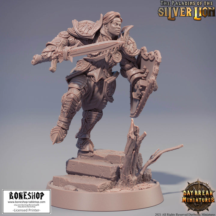 Paladins of Silver Lion „Marie du Lion d'Argent" 28mm - 35m | Boneshop