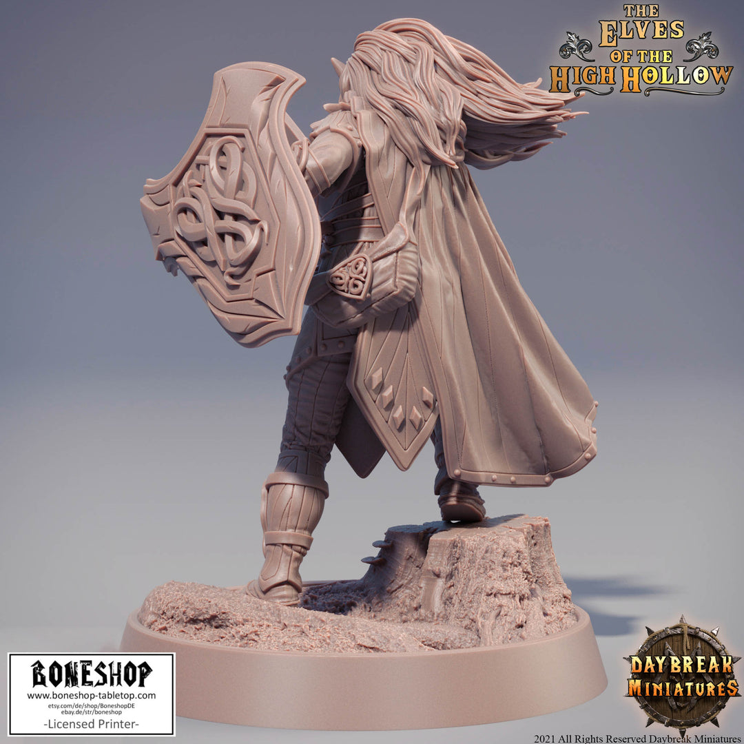 Elves of High Hollow „Merlo Kataa" 28mm - 35m | RPG | Boneshop