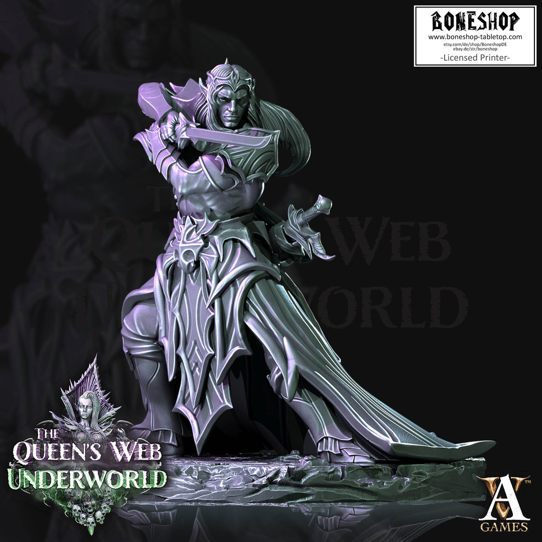 Queens Web „Dark Elves Swordmaster" 32mm - 40mm | DnD | RPG | Boneshop