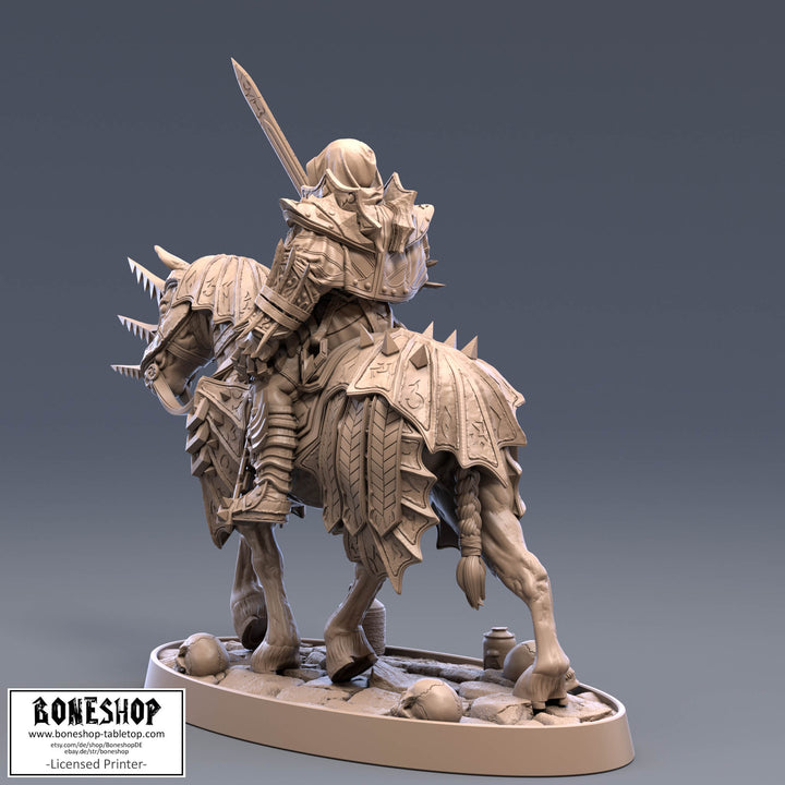 Vampire Knights „Ritter Hans von Strachenfeld" 28mm-35mm | RPG | Boneshop