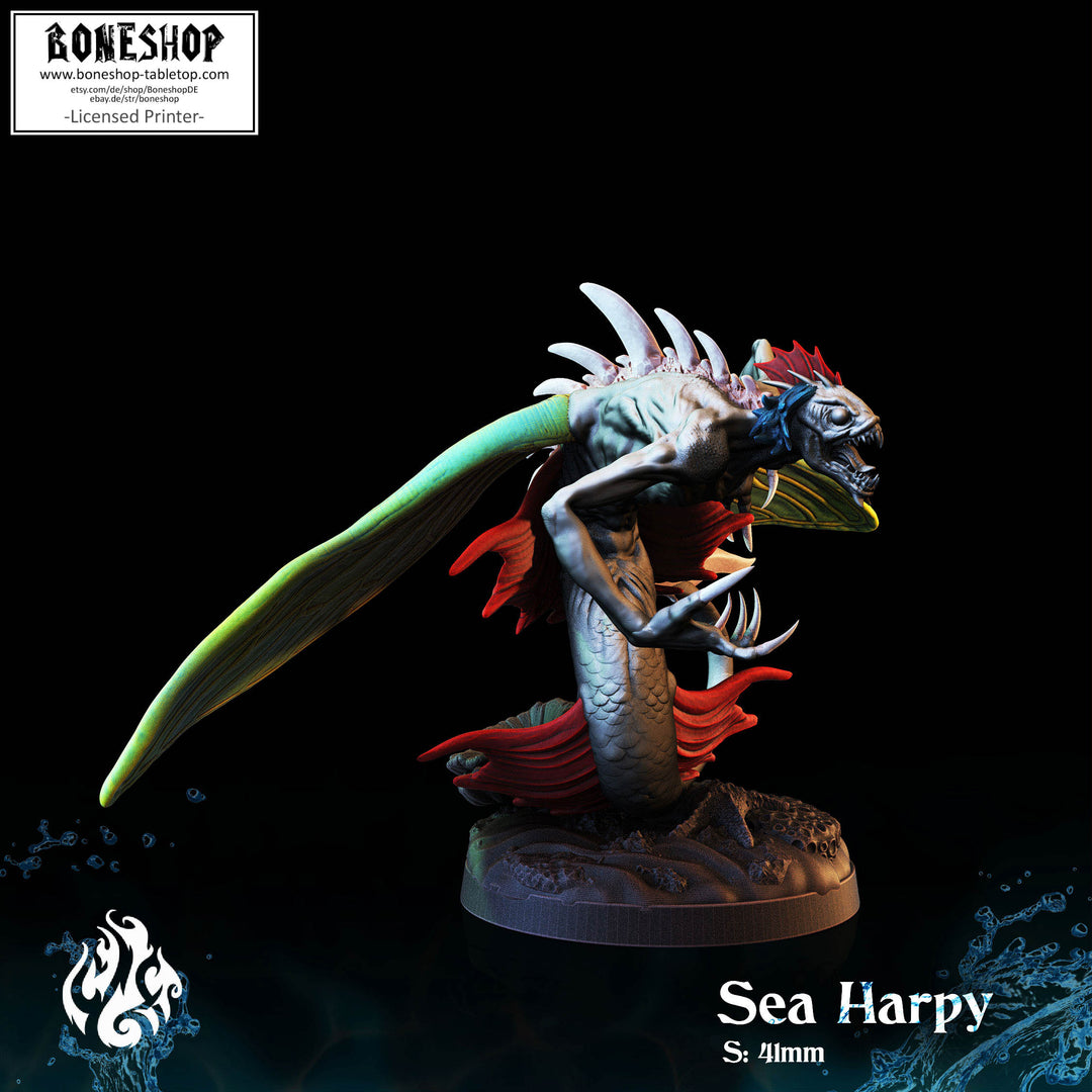 Unholy Trinity „Sea Harpy“ 28mm-35mm | RPG | DnD | Boneshop
