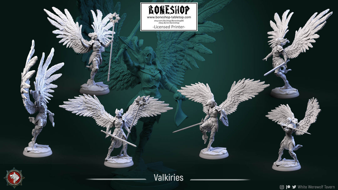 Heavenly Justice „Valkyrie BUNDLE“ 28mm-35mm RPG | DnD | Boneshop