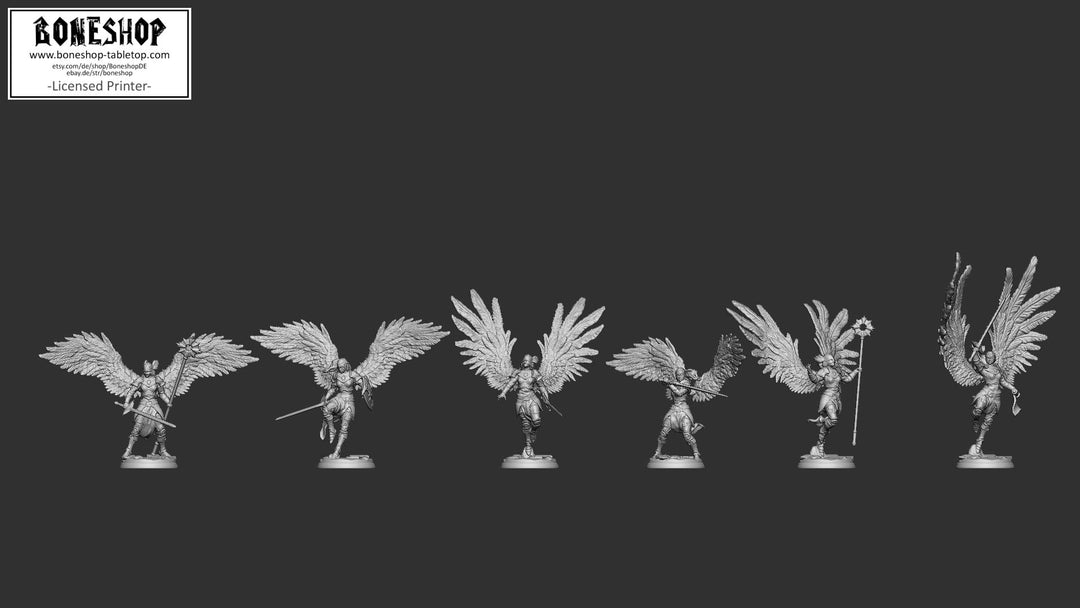 Heavenly Justice „Valkyrie BUNDLE“ 28mm-35mm RPG | DnD | Boneshop