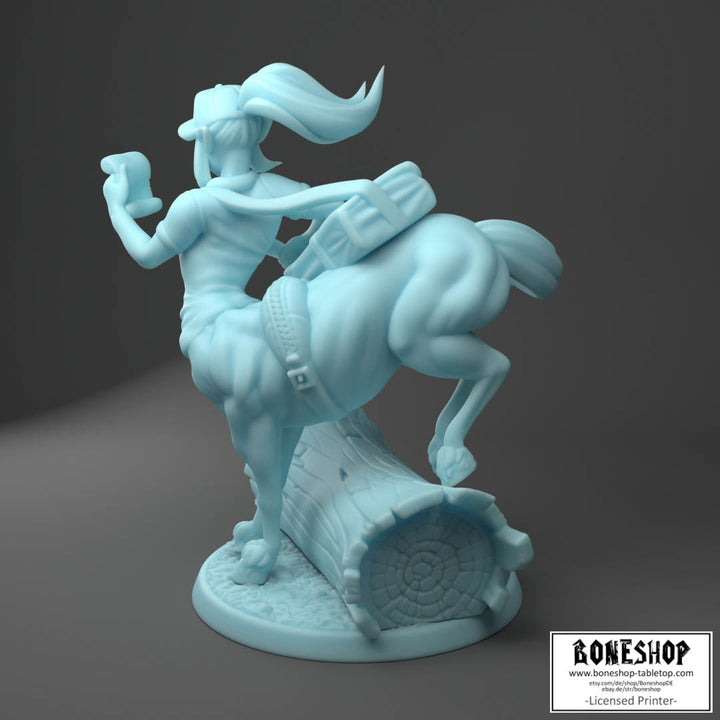 Twin Goddess Miniatures „Dordesh the Centaur" 28mm | 32mm | RPG | Boneshop