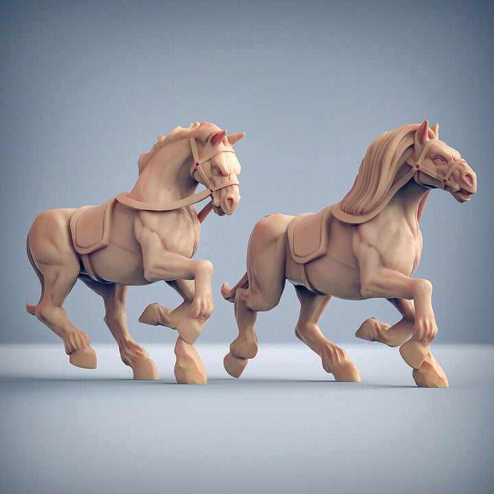 Amazon Horse Riders „Horse Bundle“ Artisan Guild | 28mm-35mm | DnD | Boneshop